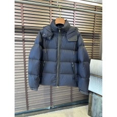 Zegna Down Jackets